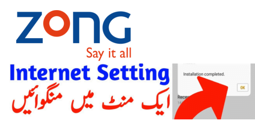 Zong Internet Setting