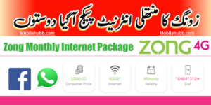 Zong Monthly Internet Packages